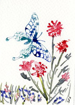 Butterfly In Garden Shirley J Steiner Richland Center WI watercolor  SOLD